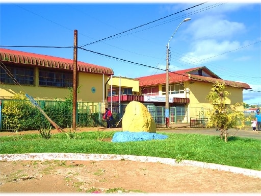 COLEGIO BASICO NUEVA LOS LOBOS