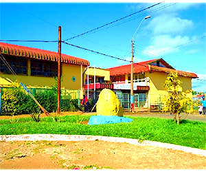 COLEGIO BASICO NUEVA LOS LOBOS