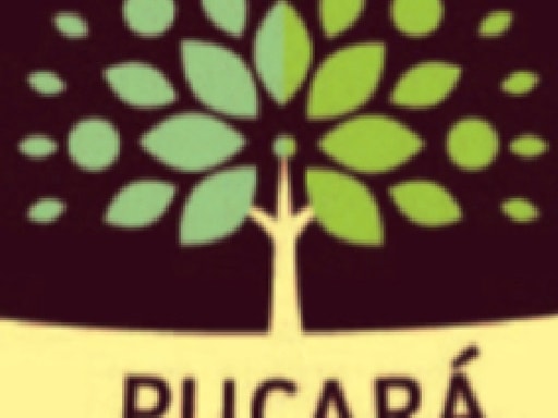 ESCUELA PUCARA