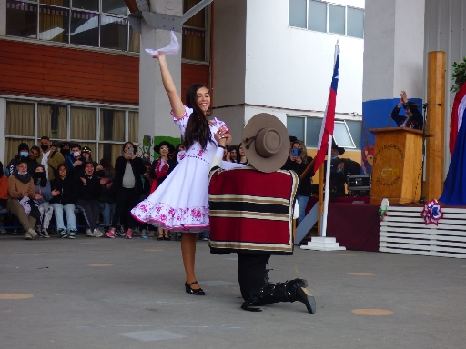 LICEO TECNICO PROFESIONAL DE LA MADERA