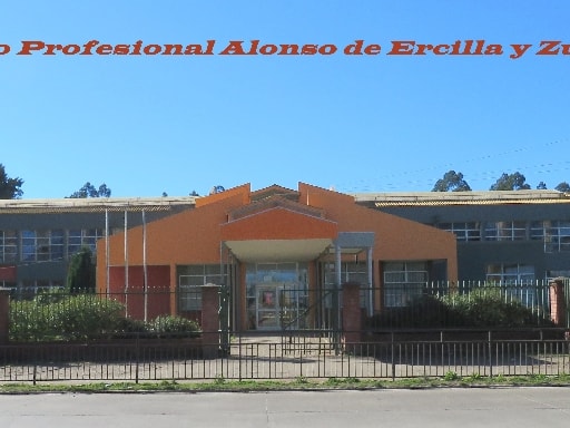 LICEO TÉCNICO PROFESIONAL ALONSO DE ERCILLA Y ZÚÑIGA