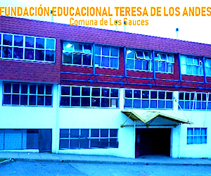 ESCUELA PARTICULAR TERESA DE LOS ANDES