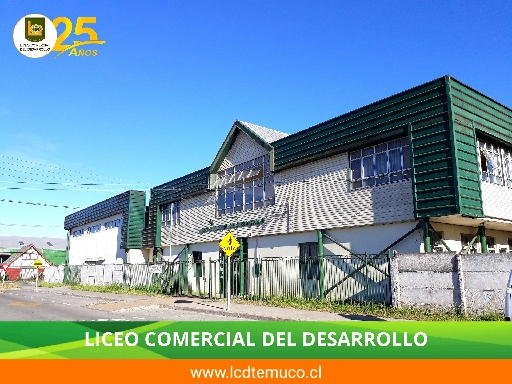 LICEO COMERCIAL DEL DESARROLLO