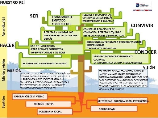 Imagen de galería