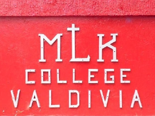 MARTIN LUTHER KING COLLEGE