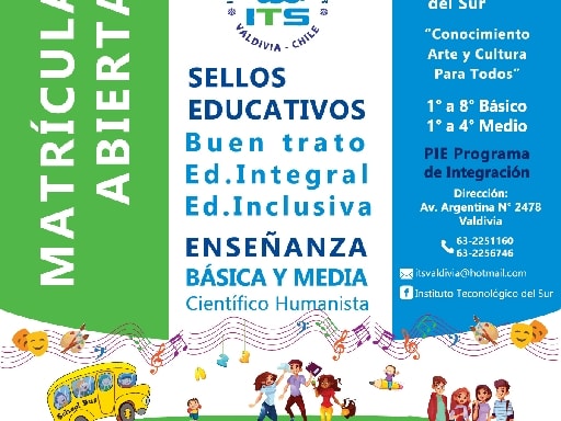 INSTITUTO TECNOLOGICO DEL SUR