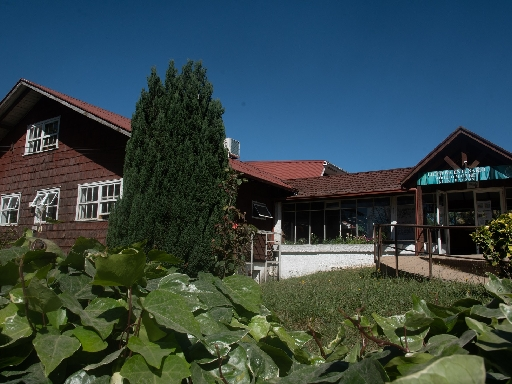 LICEO TECNICO ADOLFO MATTHEI