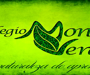 COLEGIO MONTE VERDE