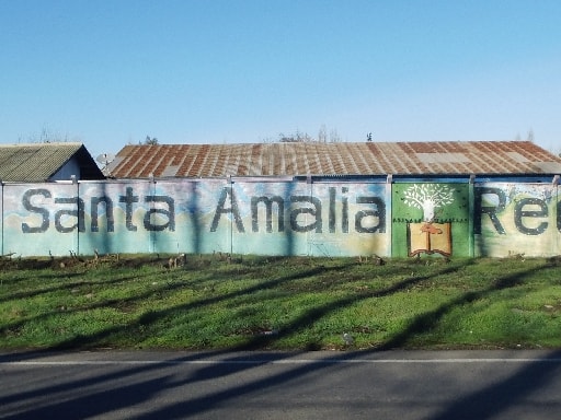 ESCUELA MUNICIPAL SANTA AMALIA