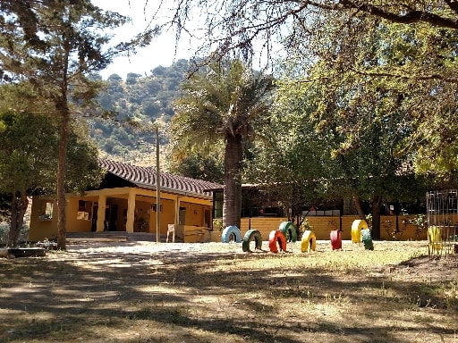 ESCUELA MUNICIPAL DE PALMERIA