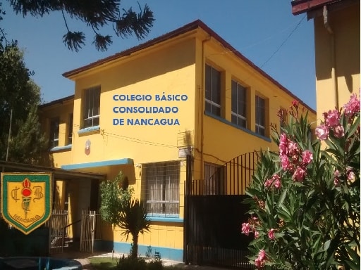 COLEGIO BASICO CONSOLIDADO