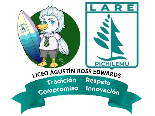 LICEO AGUSTIN ROSS EDWARDS