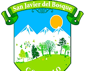 ESCUELA BASICA SAN JAVIER DEL BOSQUE