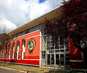 COLEGIO SANTO TOMAS DE CURICO