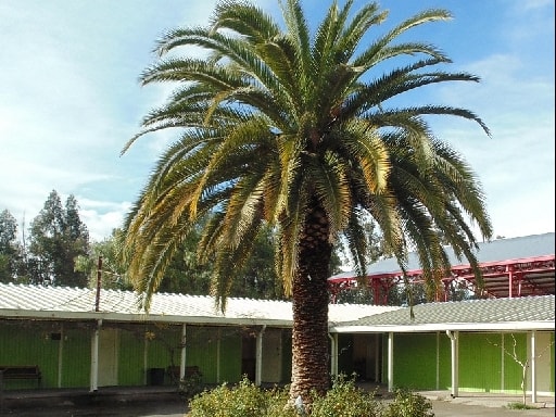 ESCUELA SANTA ROSA