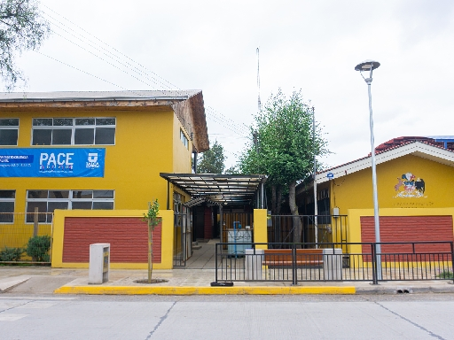 LICEO HUALANE