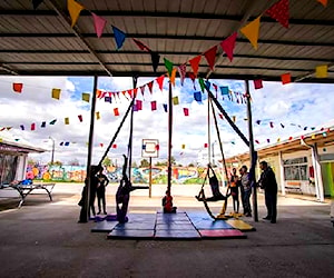 COLEGIO ARTISTICO DEL MAULE