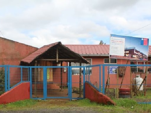 ESCUELA PEUMO NEGRO