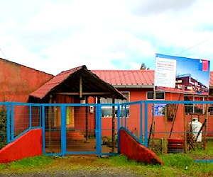 ESCUELA PEUMO NEGRO