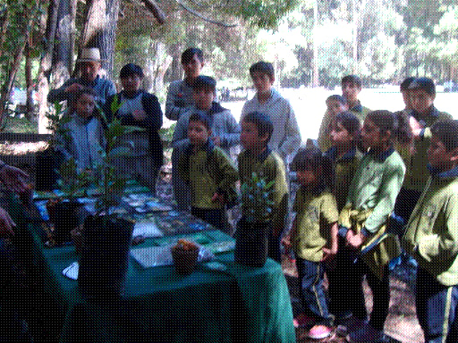 ESCUELA SAN ALFONSO CANELILLO