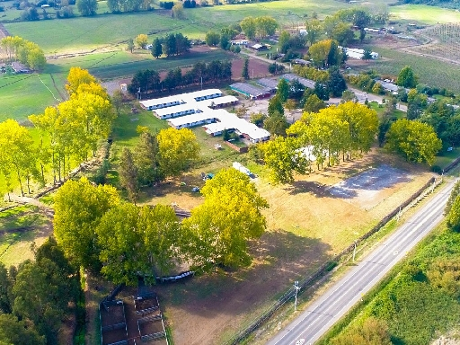 LICEO AGRÍCOLA DE CHILLÁN A-8