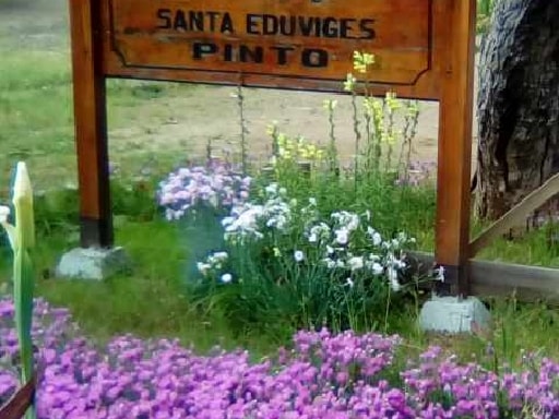 ESCUELA SANTA EDUVIGES