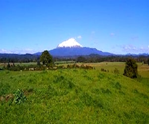 Agricola Camino a Ensenada Puerto Varas