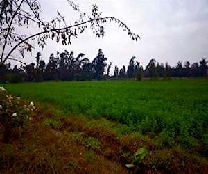 Parcela Santa Inés de Miraflores Colina