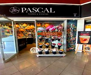 Local en centro comercial - barrio inglés