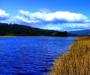 Parcela VENTA DE HERMOSA ISLA EN VALDIVIA