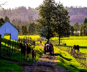 Parcelas a 5km.lago panguipulli-ecuestre el mañío