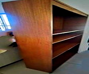 <p>Biblioteca alta de madera</p>