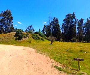 Parcelas en Litueche, 100 % planas, con Rol propio