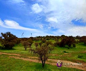 Hermoso campo subdividido en Melipilla