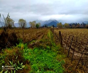 2,4 Hectareas con derechos de agua