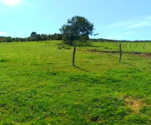 Campo region de los lagos