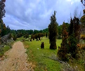 Hermosa parcela con vista a valdivia