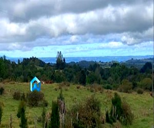 PARCELA Parque Puyehue Río Bueno