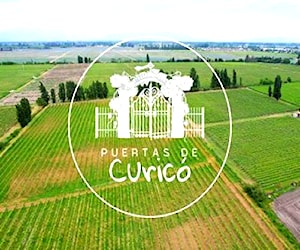 Parcelas agrícolas en Molina (PDC) 5