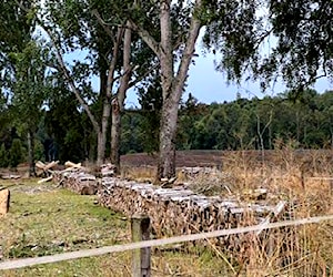 Leña de alamo