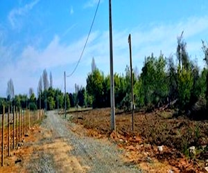 Parcelas de 5000 m2 Precordillera Cajón Río Ancoa