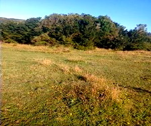 PARCELA Chiloé Ancud