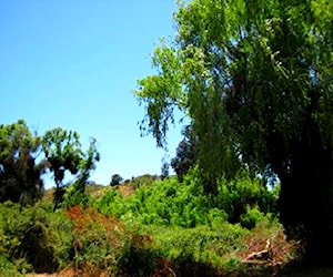 5000 mts. FACTIBILIDAD DE LUZ DERECHO DE AGUA DE