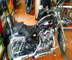 Harley davidson