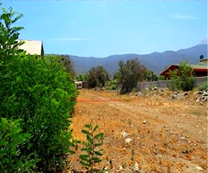 VASS vende terreno, mucha Naturaleza, Olmué