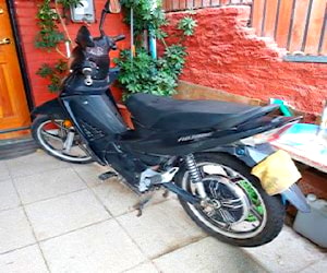 Moto electrica