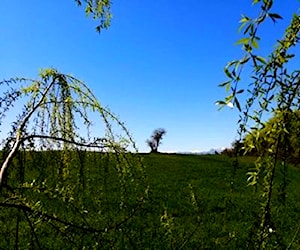 AGRICOLA Mariposas 2 Norte km 4 San Clemente