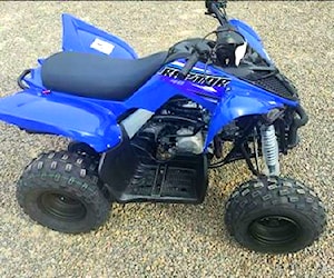 Yamaha Raptor 90 nueva liberada