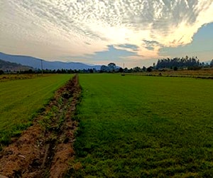 Parcelas de 5.000 m2, en Isla de Maipo