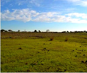 PARCELA "BUENAVISTA", La Selva, Parral Parral